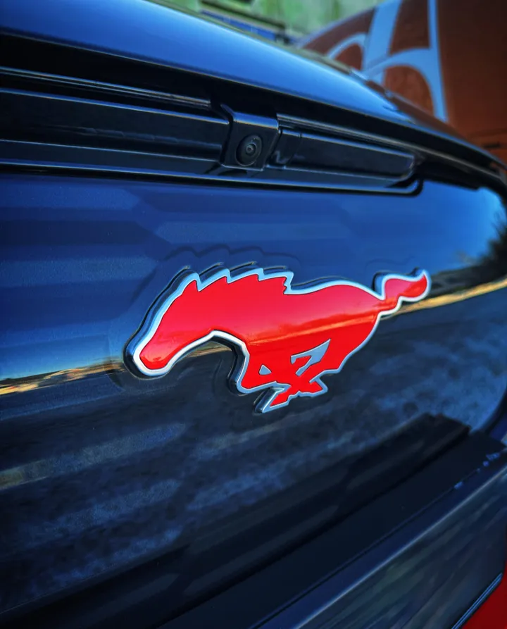 Wrapping Mustang